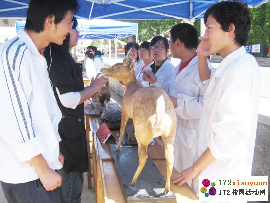 大型标本展