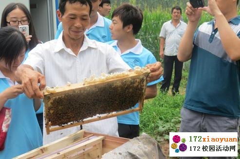 生态圆梦 我们在行动-陕西科技大暑期三下乡活动