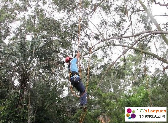 校园攀树比赛-关爱树木，保护森林