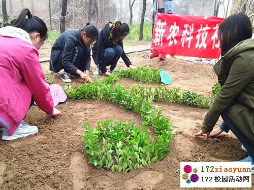 “开心农田”春天植物播种活动