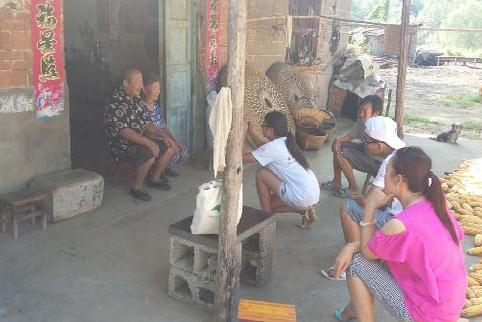 农情系枣园，托起夕阳红